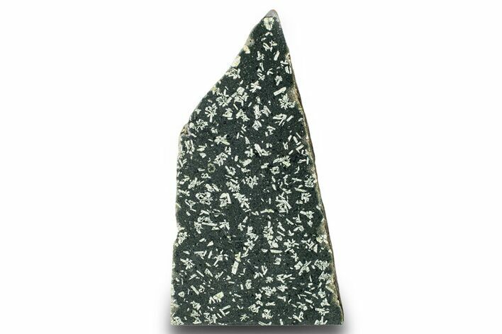 Free-Standing Polished Chinese Writing Rock - Australia #353690